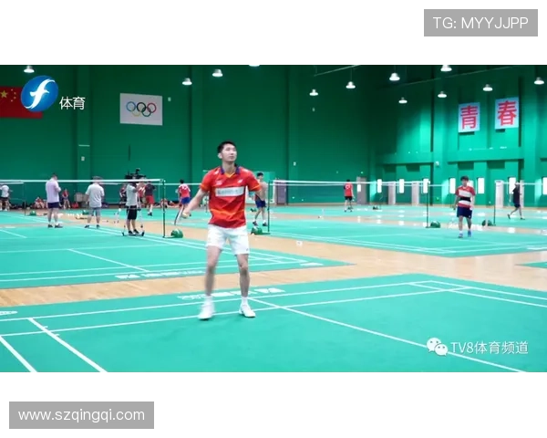 上海羽毛球队在奥运会中的团队协作表现分析与点评
