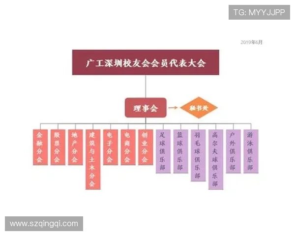 深圳篮球队总决赛状态分析与表现评估展望未来发展方向 深圳篮球队总决赛状态分析与表现评估展望未来发展方向