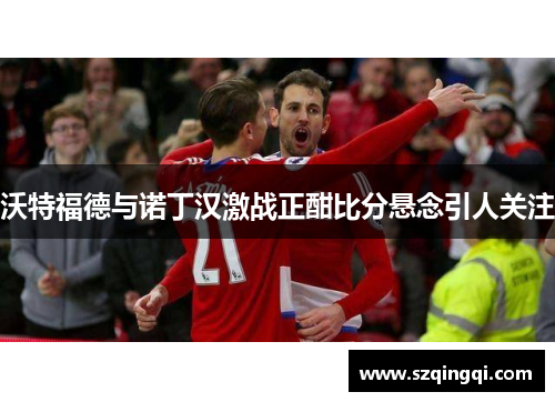 沃特福德与诺丁汉激战正酣比分悬念引人关注